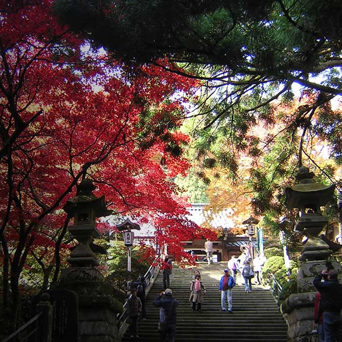 大雄山最乗寺参道の入り口にある「茶屋 天んぐ」 | 大雄山 茶屋 天んぐ